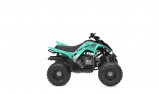 YAMAHA YFM 110 RAPTOR 2025 TEAL