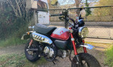 HONDA ZB 125 MA MONKEY BV5