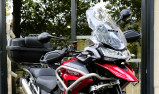 TRIUMPH TIGER 1200 GT PRO