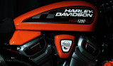 HARLEY-DAVIDSON 1250 SUPER HOOLIGAN/ROADSTER PAN AMERICA