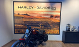 HARLEY-DAVIDSON SPORTSTER IRON 883