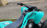 YAMAHA YFM 110 RAPTOR BLEU OU TURQUOISE
