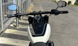 HARLEY-DAVIDSON SOFTAIL FAT BOB 114