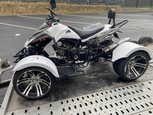 JUNLING QUAD 300 (REF 59309)