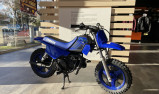 YAMAHA PW50