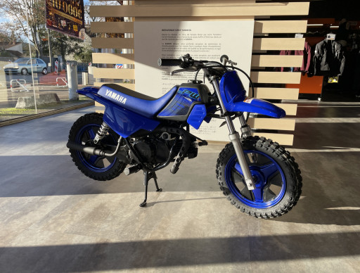 YAMAHA PW50