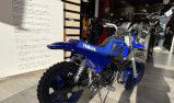 YAMAHA PW50