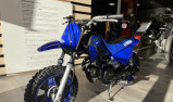 YAMAHA PW50