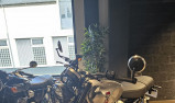TRIUMPH SPEED TWIN 900
