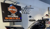 HARLEY-DAVIDSON ADVENTURE PAN AMERICA 1250 SPECIAL