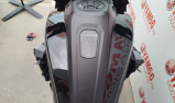 HARLEY-DAVIDSON PAN AMERICA 1250 SPECIAL + EQUIPEMENTS - 1er main