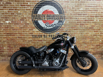 HARLEY-DAVIDSON SOFTAIL SLIM roue arrière 200 + garde boue Rick