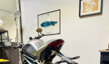TRIUMPH SPEED TRIPLE 1200 RS