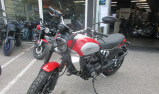 DUCATI SCRAMBLER 800 icon velvet red