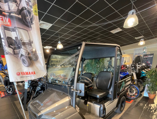 YAMAHA UMX HOMOLOGUE