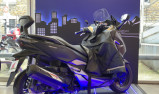 HONDA Forza 300