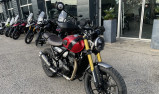 TRIUMPH Scrambler 400 X