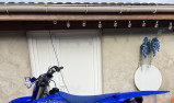 YAMAHA YZ250