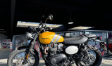 TRIUMPH SCRAMBLER 900
