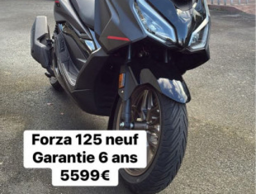 Forza 125 - Gris Mat - 258 km - 07/25