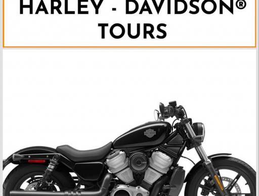 HARLEY-DAVIDSON SPORTSTER NIGHTSTER 975 SPECIAL