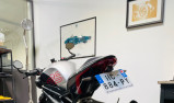 TRIUMPH SPEED TRIPLE 1200 RS