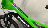 KAWASAKI Elektrode 20 draisienne électrique 