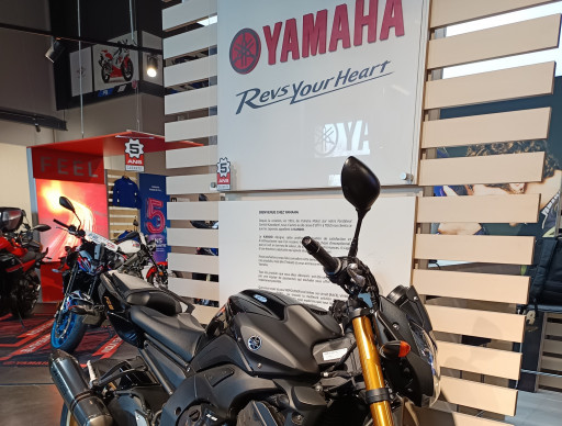 YAMAHA FZ8 SP-R