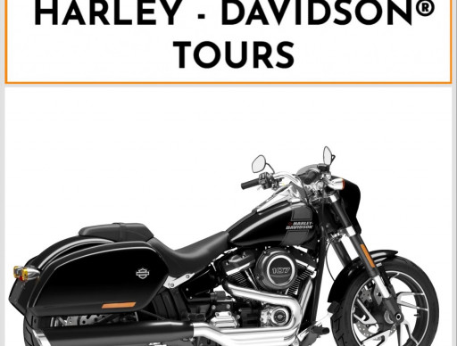 HARLEY-DAVIDSON SOFTAIL SPORT GLIDE 1745