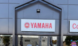 YAMAHA XSR 900 35KW