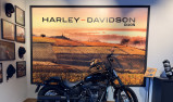 HARLEY-DAVIDSON SOFTAIL STREET BOB 1868