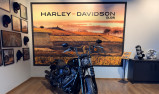HARLEY-DAVIDSON SOFTAIL STREET BOB 1868