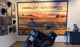 HARLEY-DAVIDSON SOFTAIL STREET BOB 1868