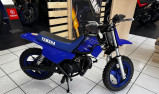 YAMAHA PW50