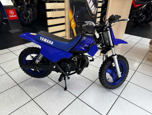YAMAHA PW50