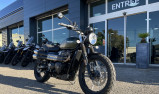 TRIUMPH SCRAMBLER 900