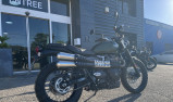 TRIUMPH SCRAMBLER 900