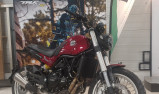 BENELLI LEONCINO 500