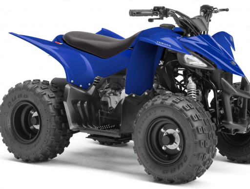 YAMAHA YFZ 50  